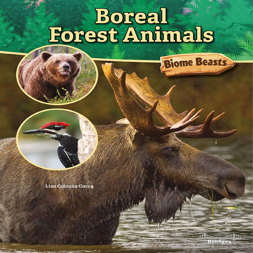 Rourke Educational Media Boreal Forest Animals Image