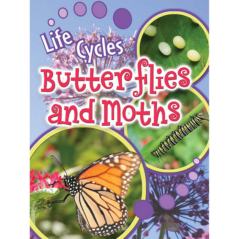 Rourke Educational Media Butterflies and Moths Image
