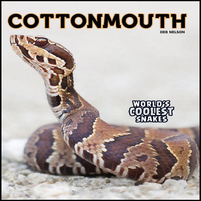 Rourke Educational Media Cottonmouth Image