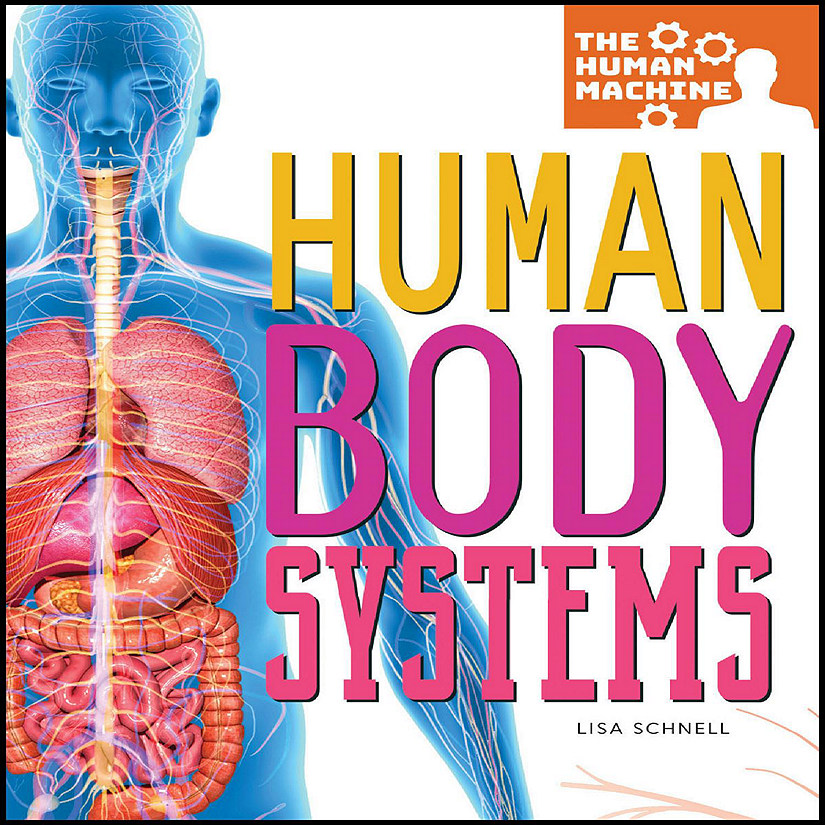 Rourke Educational Media Human Body Systems Image