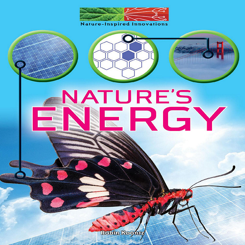 Rourke Educational Media Nature's Energy Image