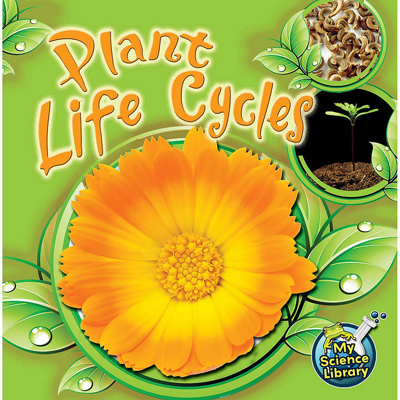 Rourke Educational Media Plant Life Cycles Image
