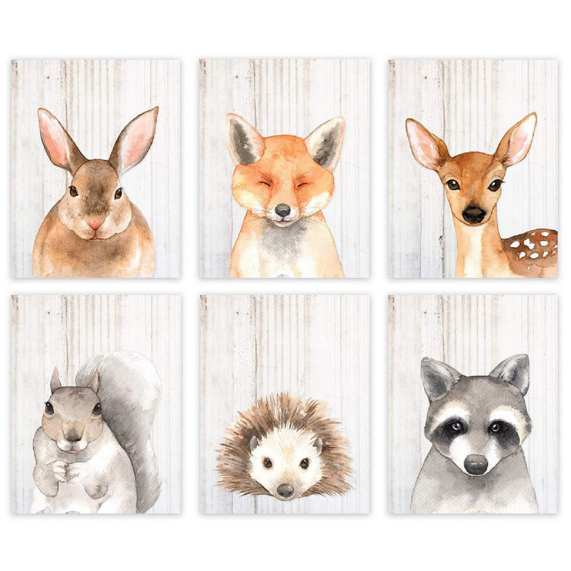 Rustic Woodland Forest 6Pack 8.5x11in Image