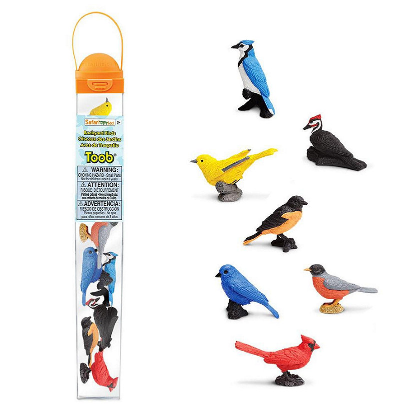 Safari Backyard Birds TOOB Image
