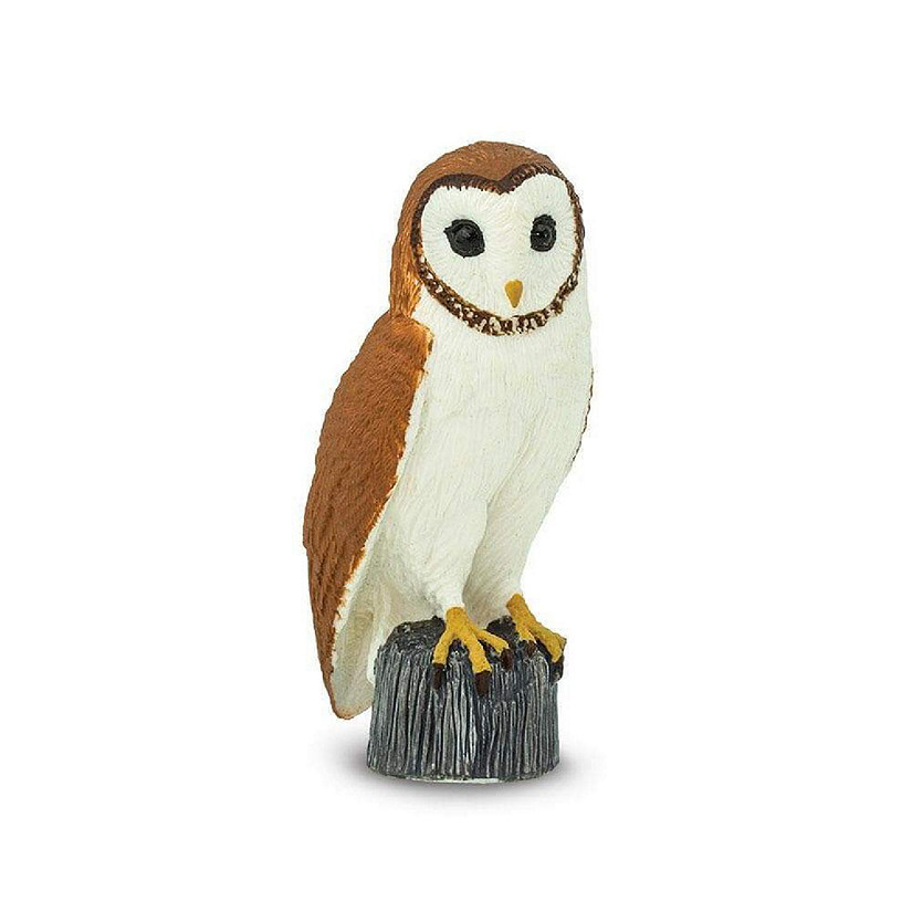 Safari Barn Owl Image