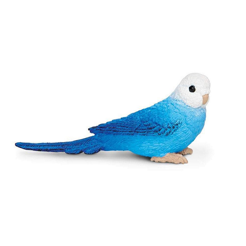 Safari Blue Budgie Toy Image