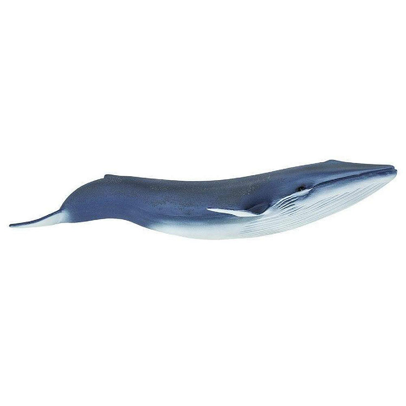 Safari Blue Whale Toy | Oriental Trading