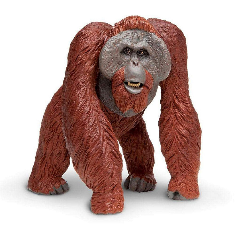 Safari Bornean Orangutan Toy Image