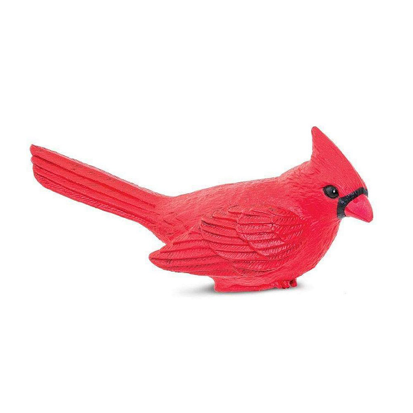 Safari Cardinal Toy Image