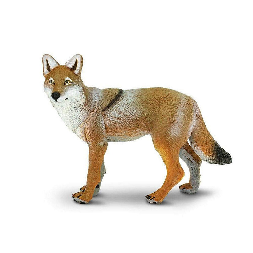 Safari Coyote Toy Image