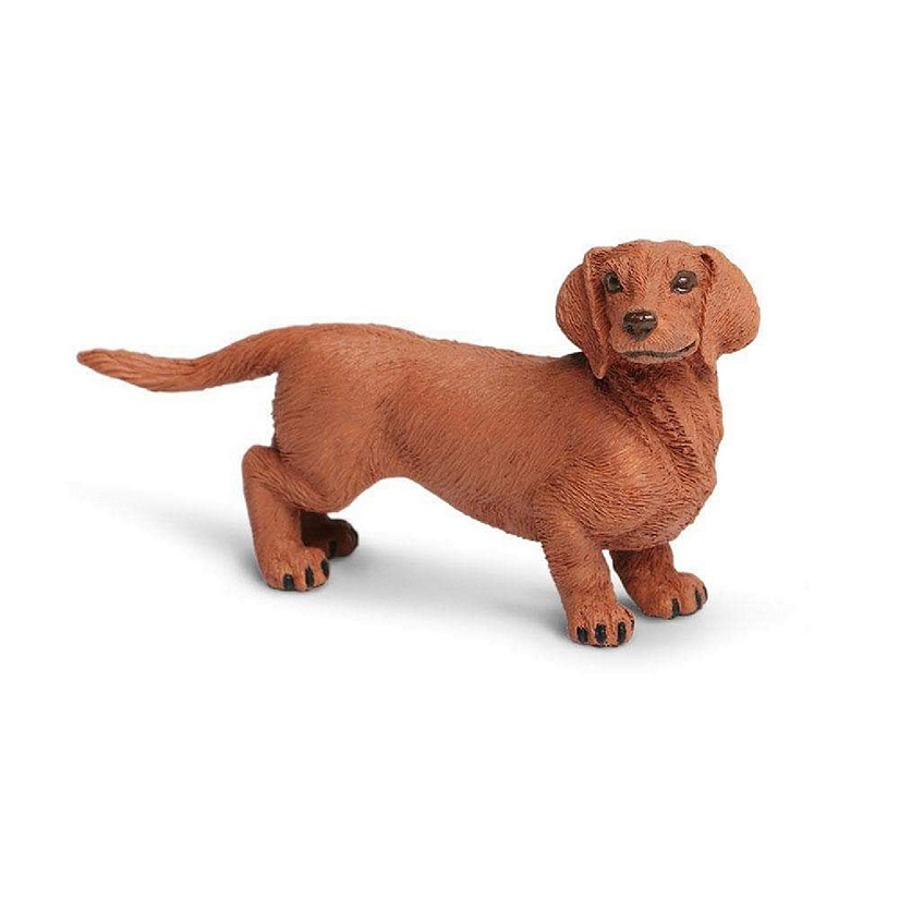 https://s7.orientaltrading.com/is/image/OrientalTrading/PDP_VIEWER_IMAGE/safari-dachshund-toy~14239744$NOWA$