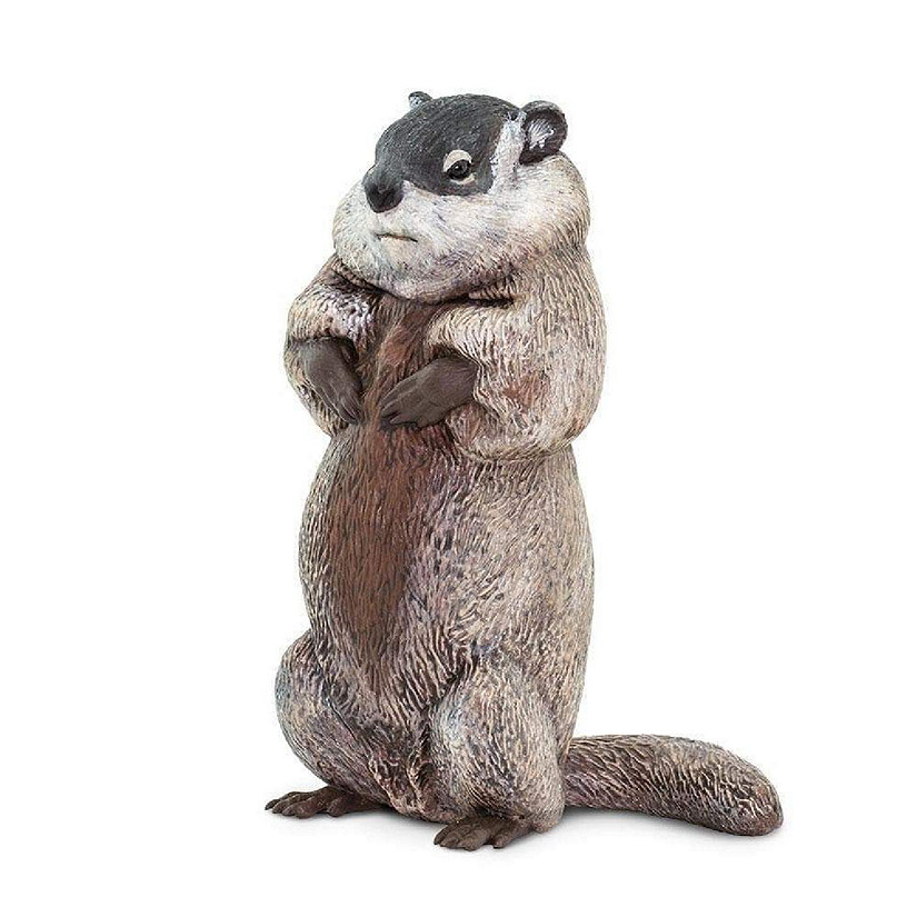 Safari Groundhog Toy Image