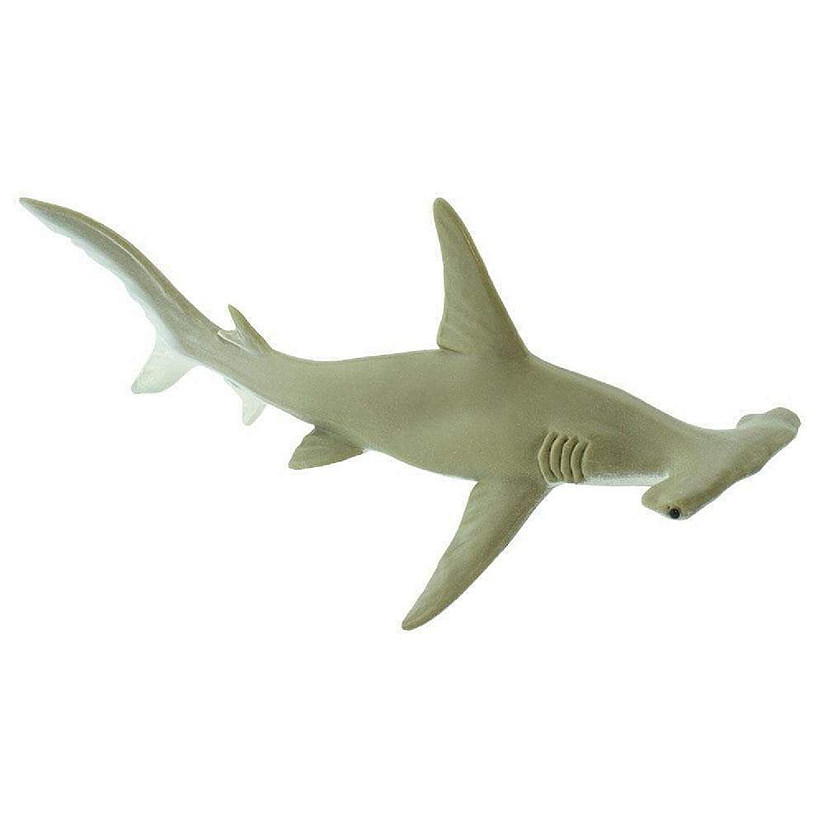 Safari Hammerhead Shark B Image