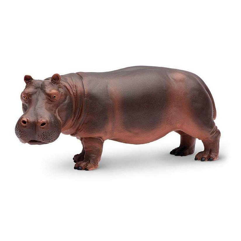 Safari Hippopotamus Toy Image