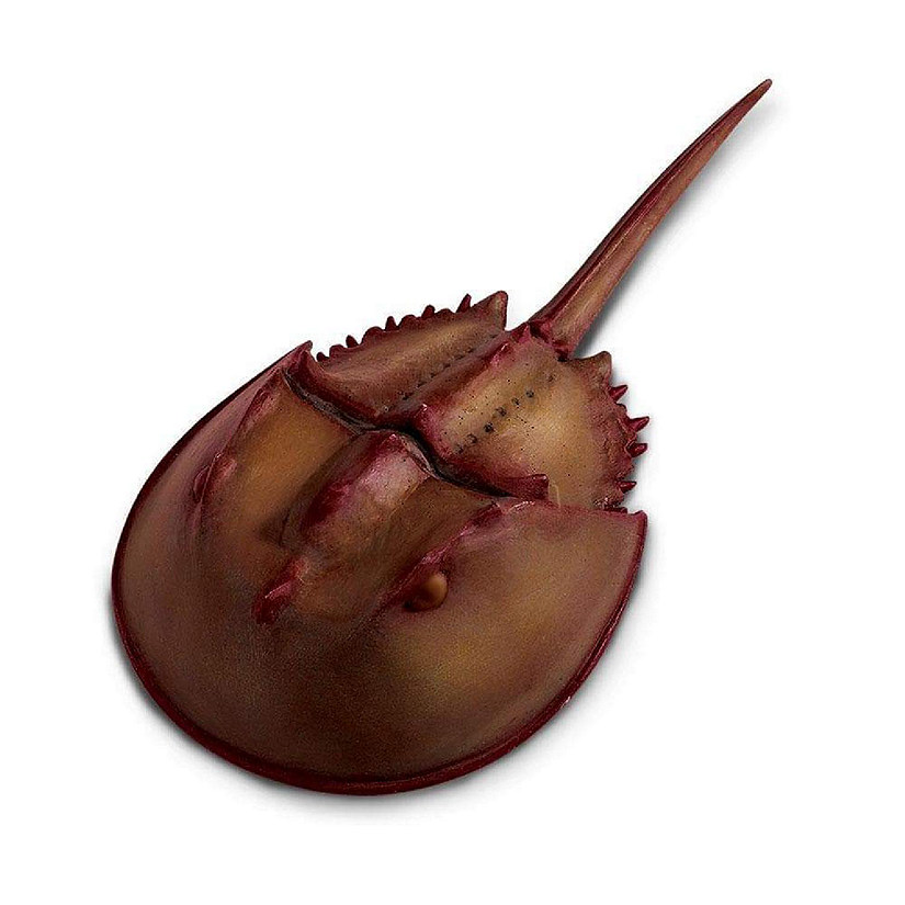 Safari Horseshoe Crab Image