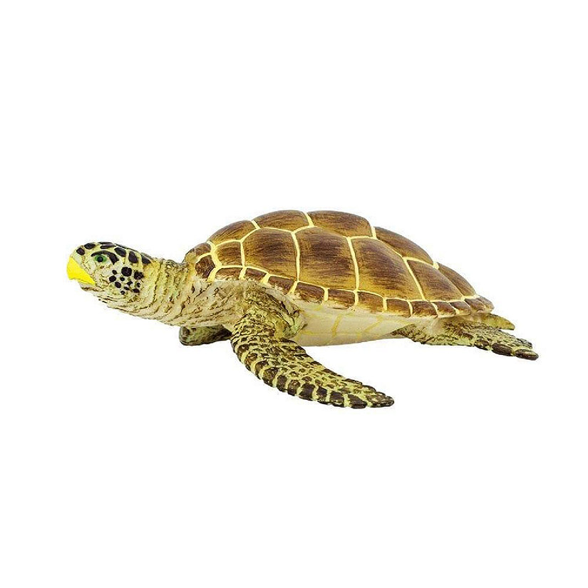 Safari Loggerhead Turtle Toy Image