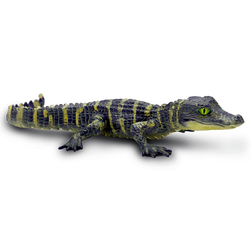 Safari Ltd. Alligator Baby Image