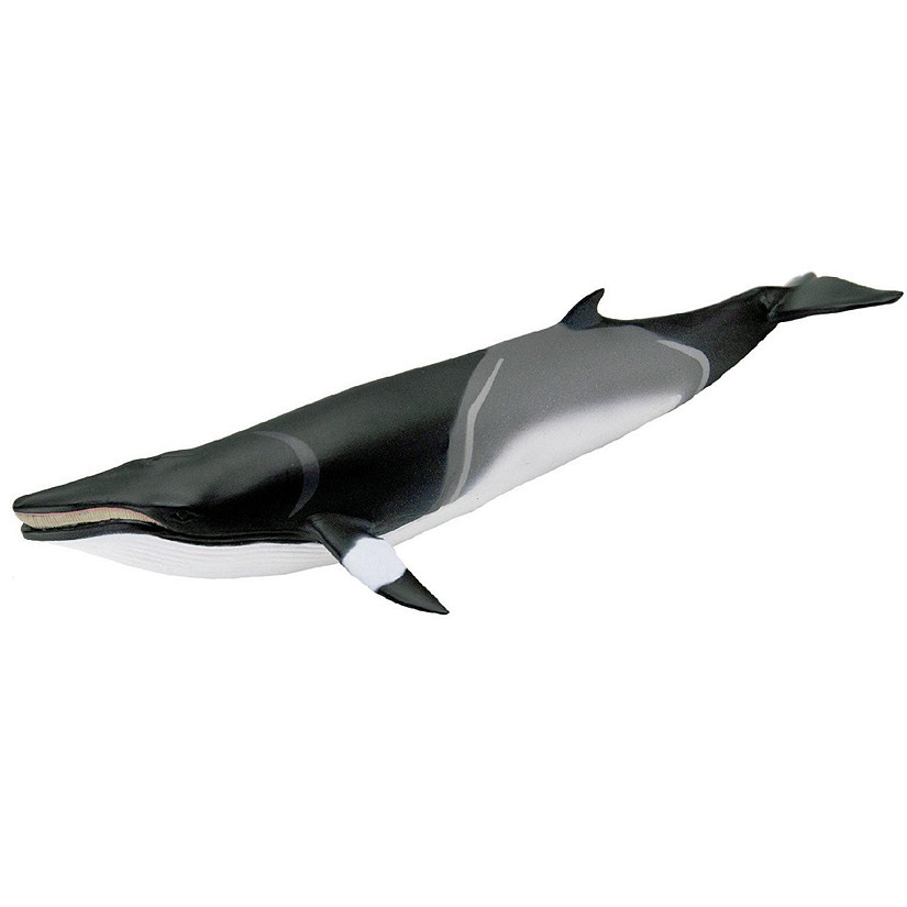 Safari Ltd. Minke Whale Image