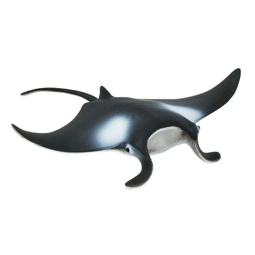 Safari Manta Ray B Image