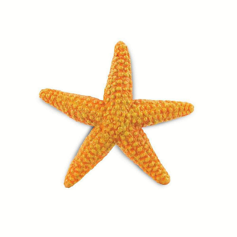 Safari Orange Starfish Toy Image