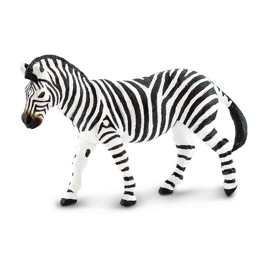 Safari Plains Zebra  NEW Image