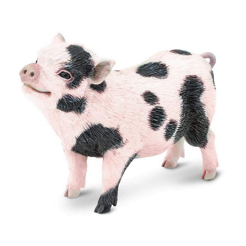 Safari Pot,Bellied Pig Toy