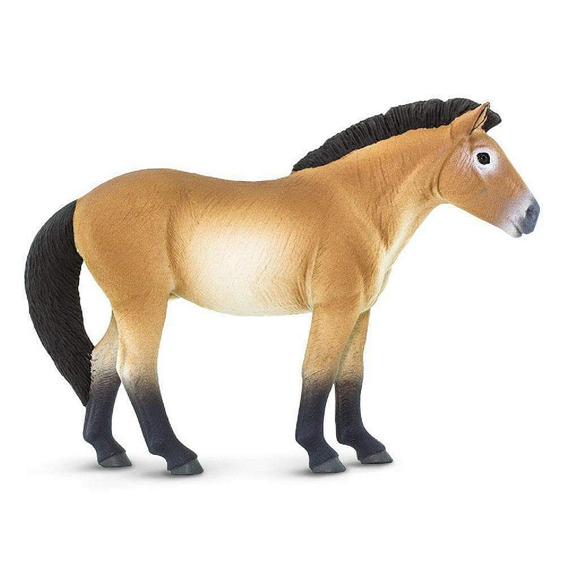 Safari Przewalski's Horse Toy Image