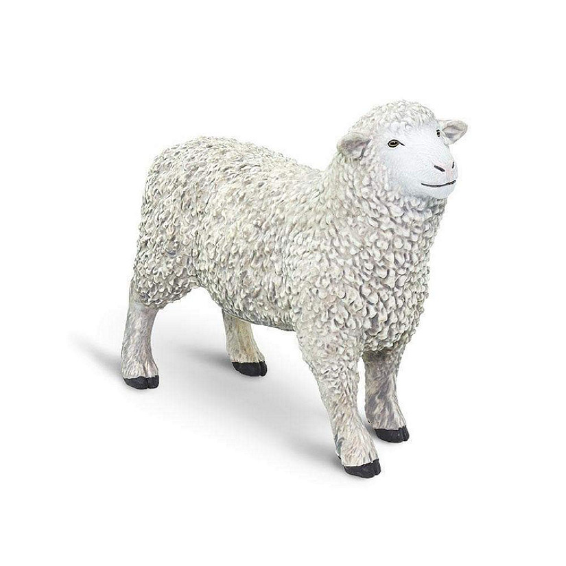 Safari Sheep Image