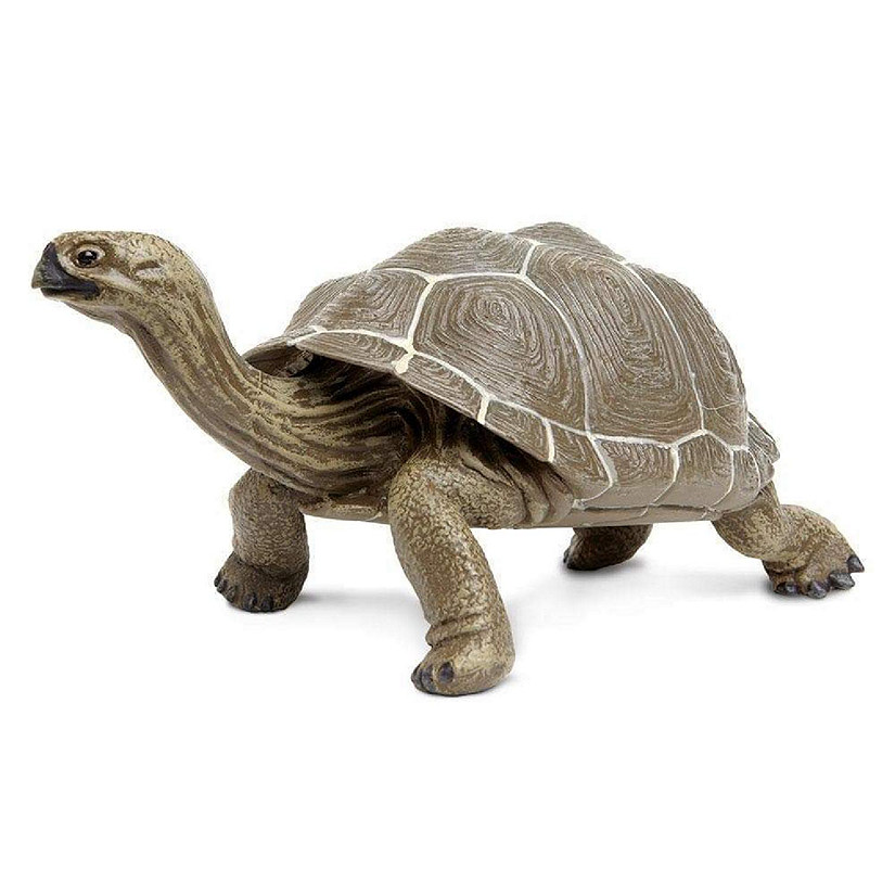 Safari Tortoise Toy Oriental Trading