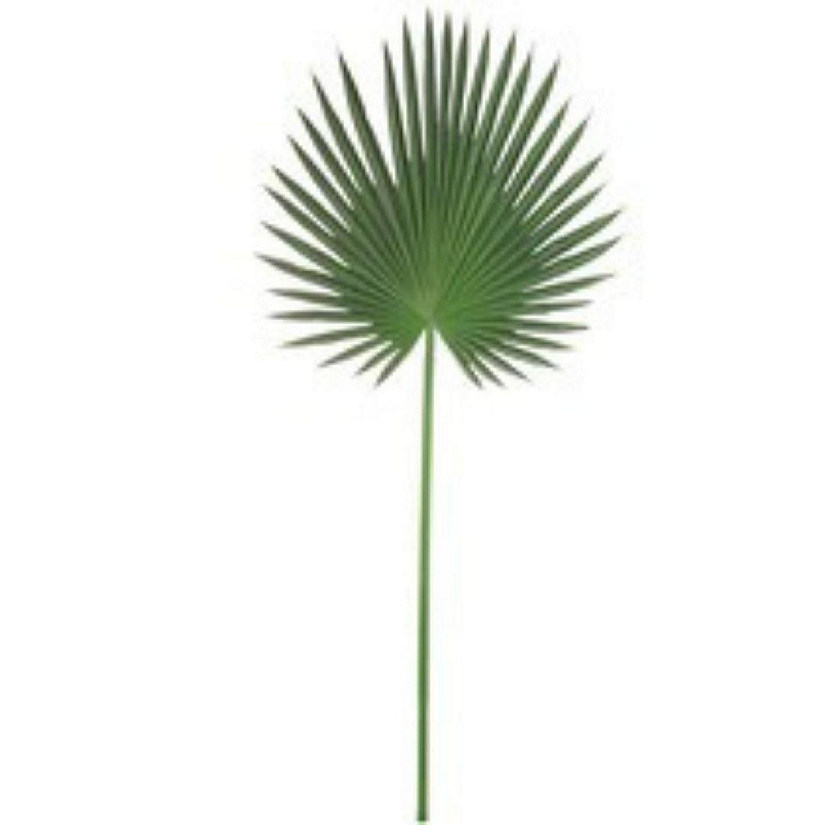 Set of 2: Fan Palm Leaf Stems Image