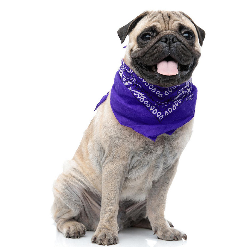 Set of 4 Paisley Polyester Dog & Cats Bandana Triangle Bibs  - Washable (Purple) Image
