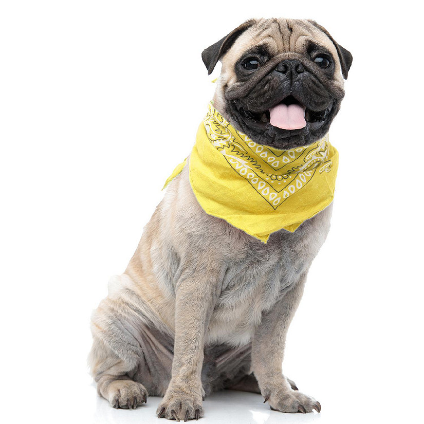 Set of 4 Paisley Polyester Dog & Cats Bandana Triangle Bibs  - Washable (Yellow) Image