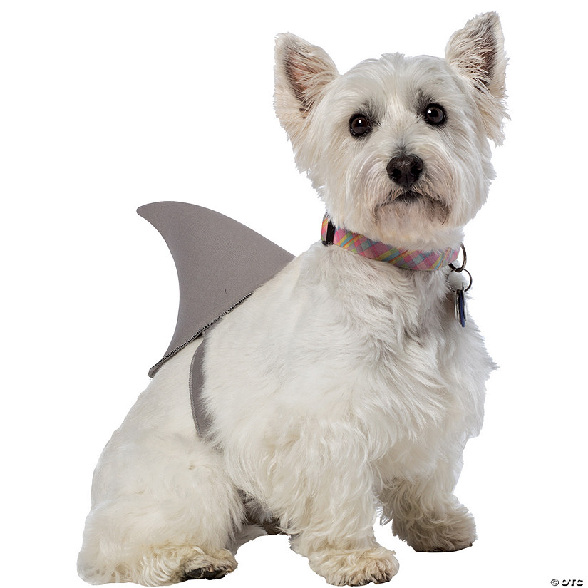 Shark Fin Dog Costume Image