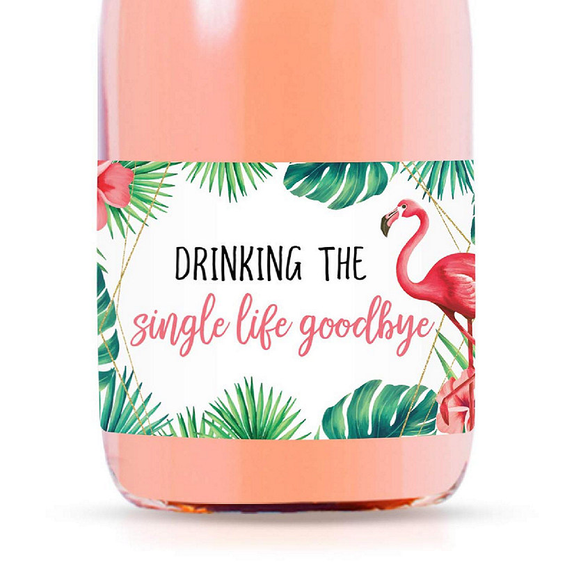 Single Life Goodbye Flamingo Image