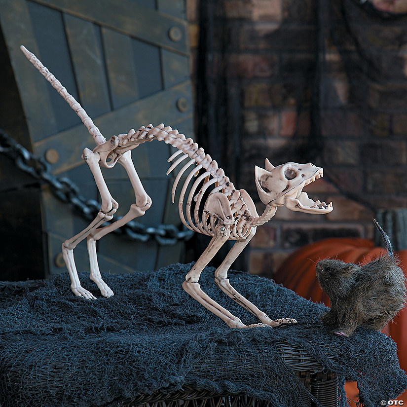 Skeleton Cat Halloween Decoration Image