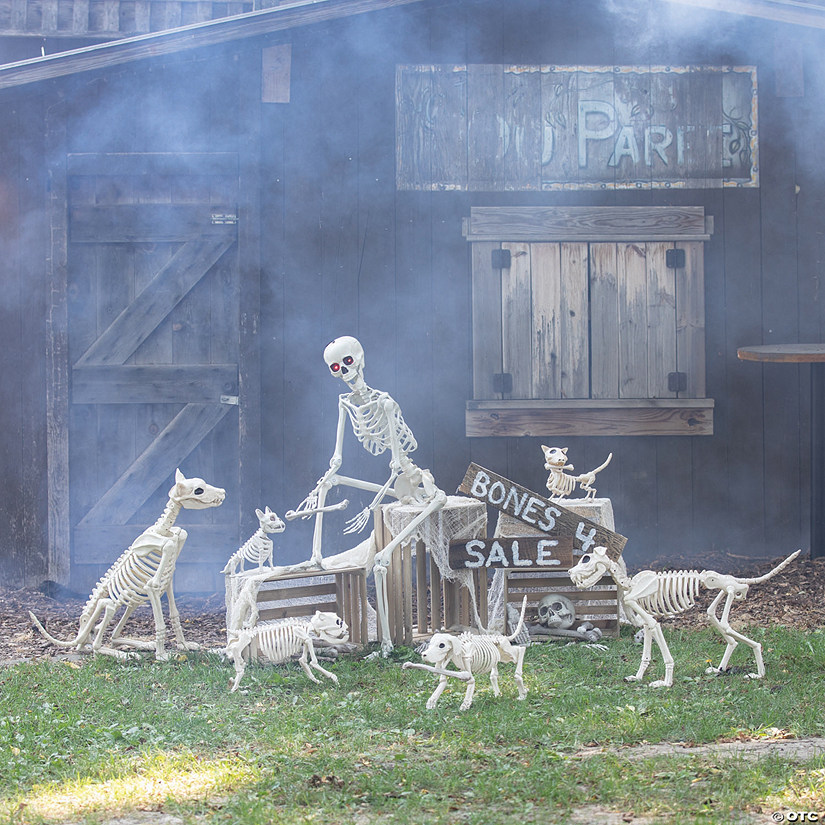 Skeleton Dog Bone Sale Halloween Decorating Kit - 8 Pc. Image