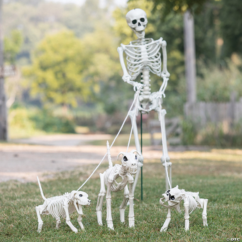 Skeleton Dog Walker Plastic Halloween Decorating Kit - 4 Pc. Image