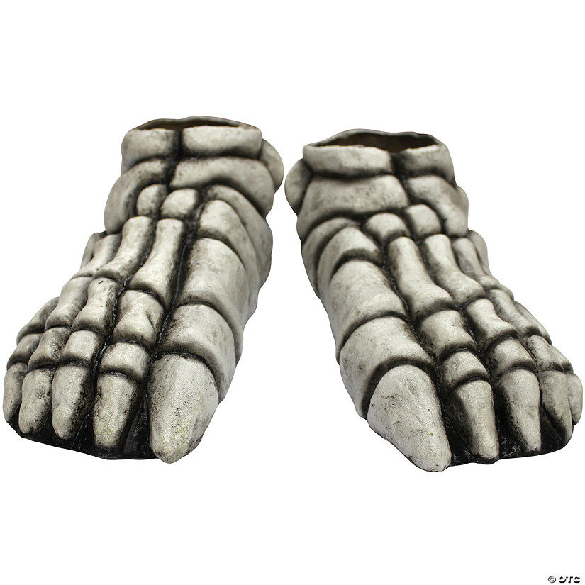Skeleton Feet Image