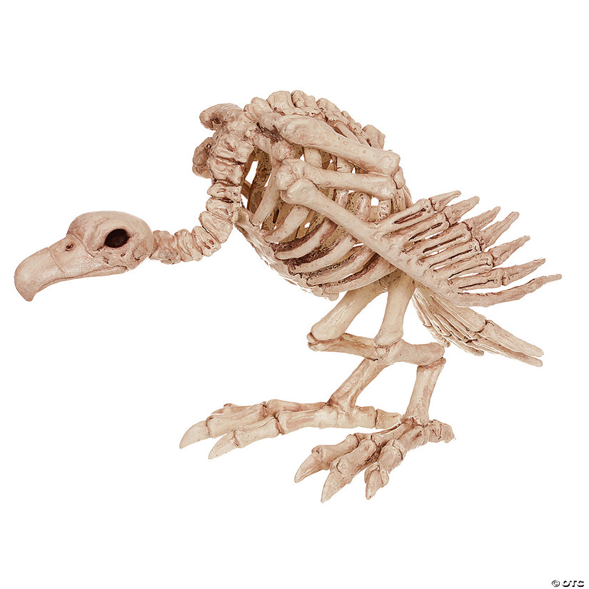 Skeleton Vulture Decoration Image