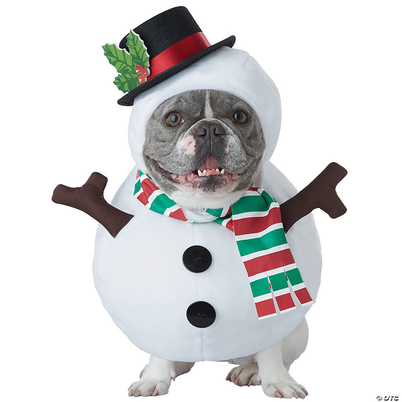 Snowman Dog Costume Image