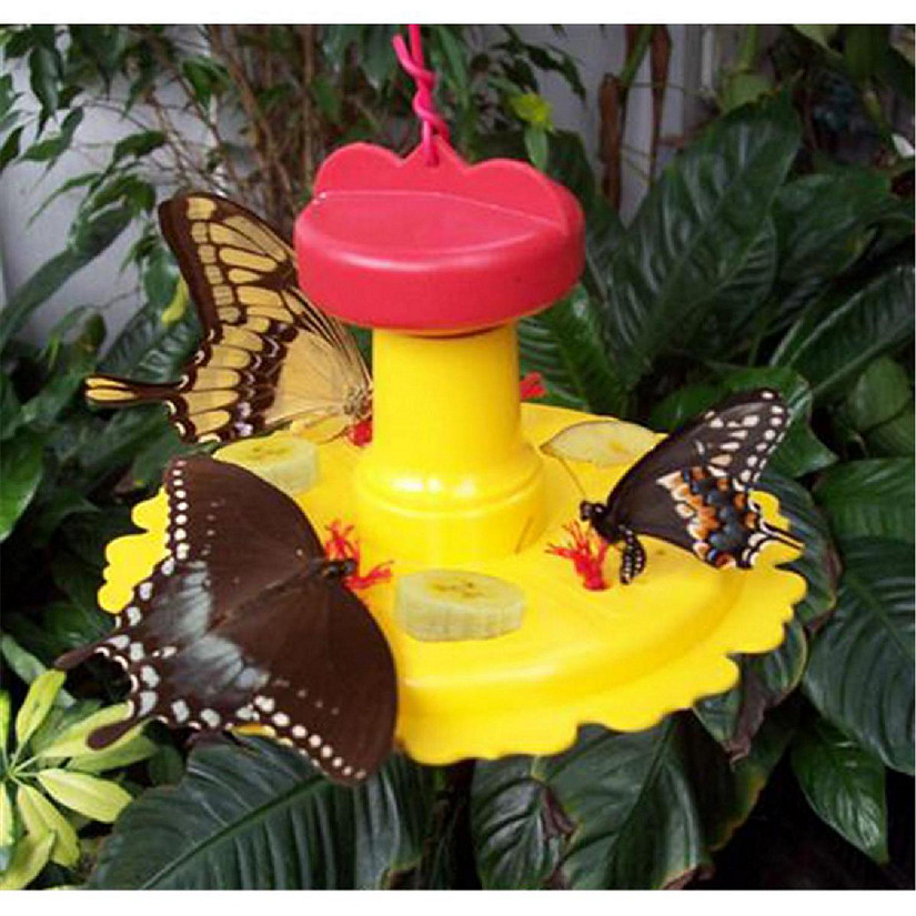 Songbird Essentials SE78200 Butterfly Feeder Image