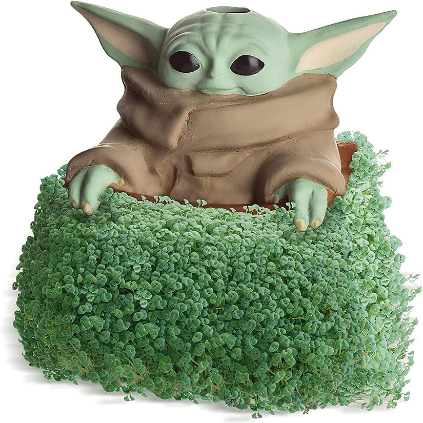Star Wars The Child in Satchel Chia Pet Decorative Pottery Planter Image