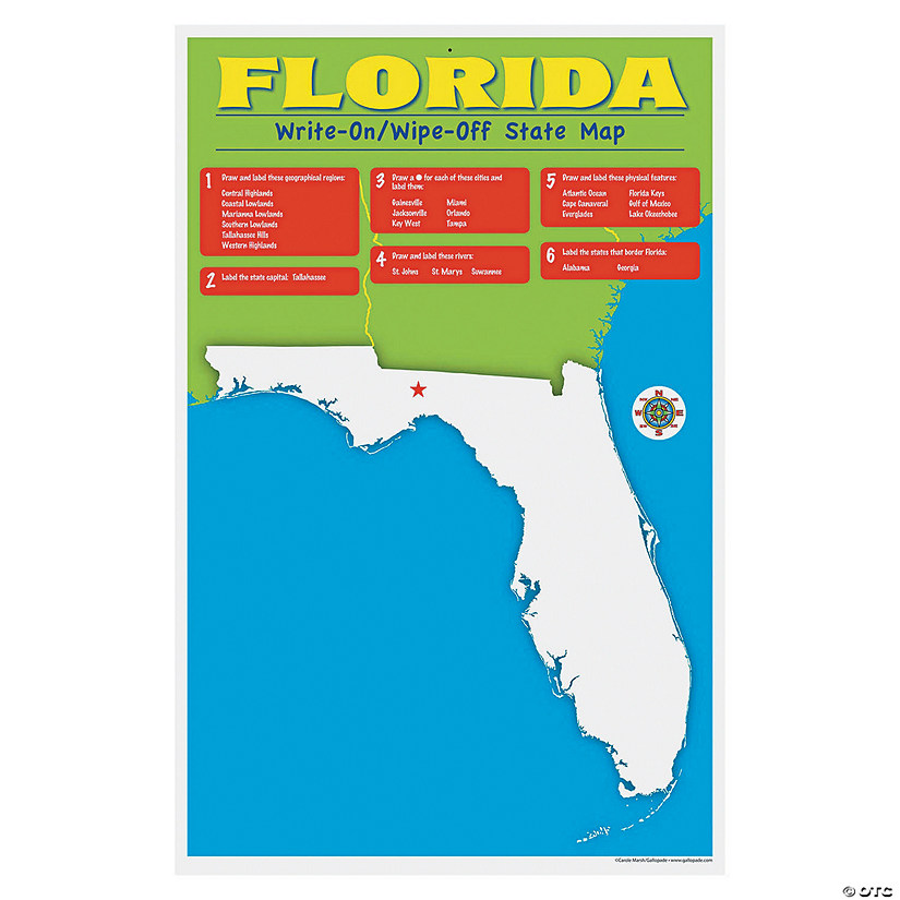 State Write-On Desk Mat - Florida Image