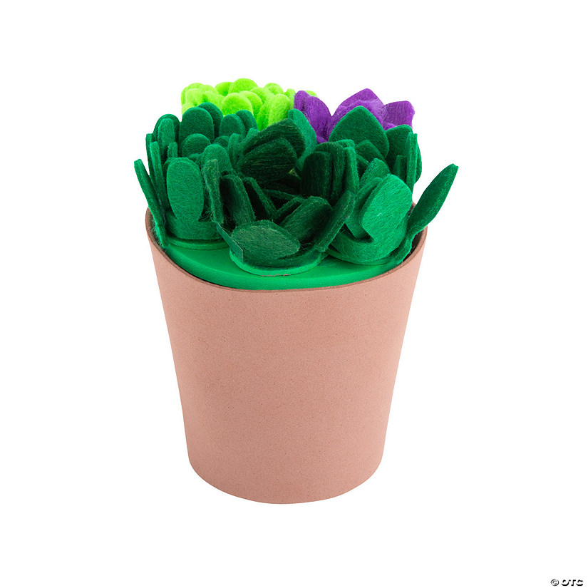 Succulent Plant Craft Kit - Makes 3 Image