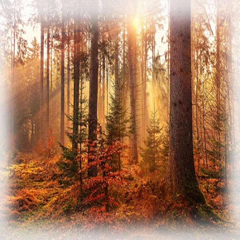 Sun Up Sun Down Autumn Forest Trees Fabric Panel Digital 32x44 Hoffman Spectrum Image