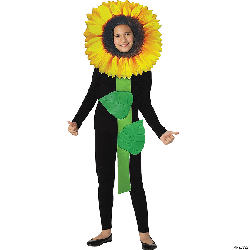 Sunflower Child Costume Image