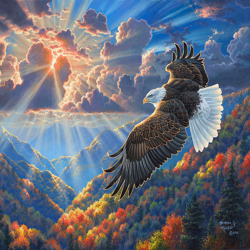 Sunsout Beautiful Freedom 1000 pc  Jigsaw Puzzle Image