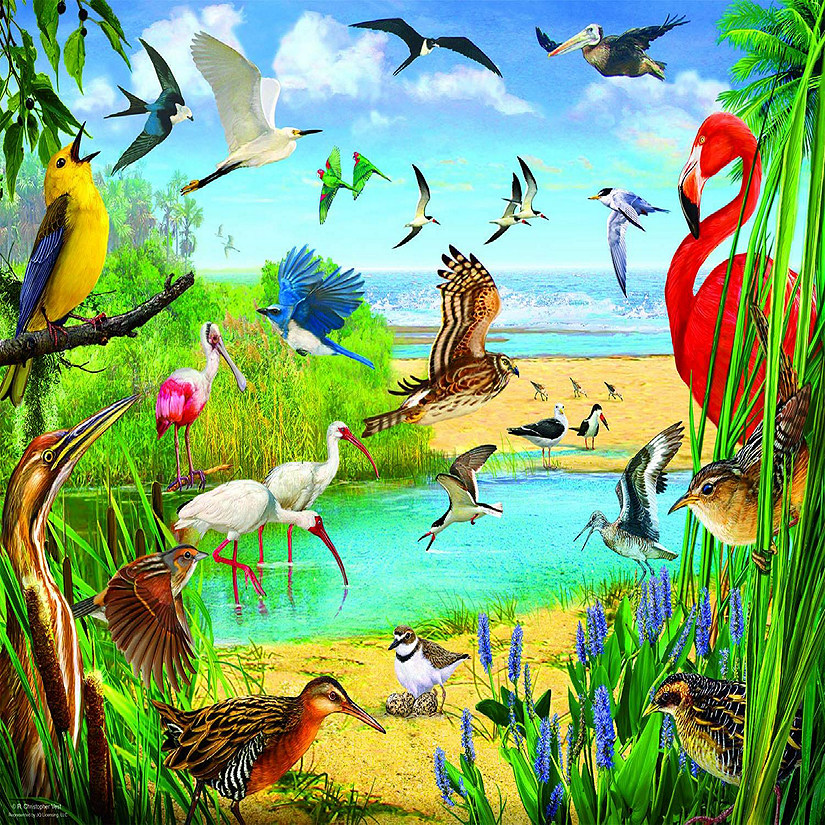 Sunsout Florida Birds 1000 pc  Jigsaw Puzzle Image
