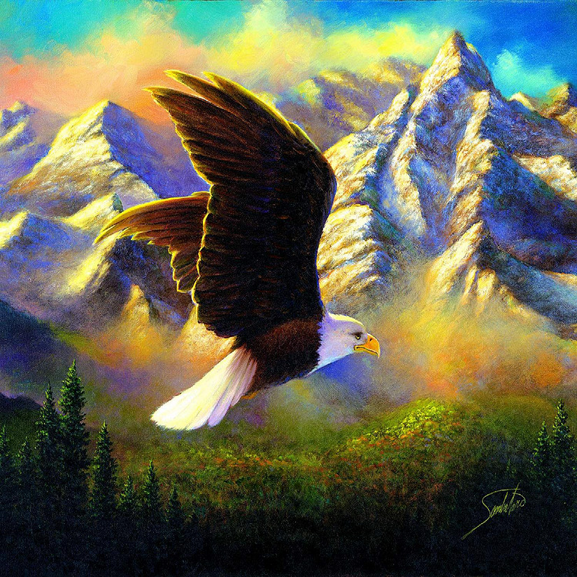 Sunsout Flying High 1000 pc  Jigsaw Puzzle Image