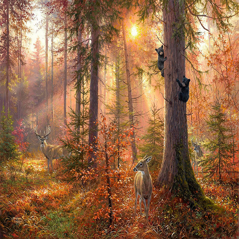 Sunsout Forest Light 300 pc  Jigsaw Puzzle Image